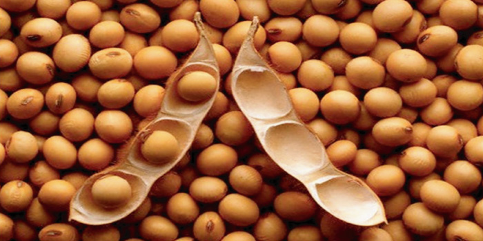 違い 枝豆 大豆 えだまめと大豆は同じものですか。：農林水産省