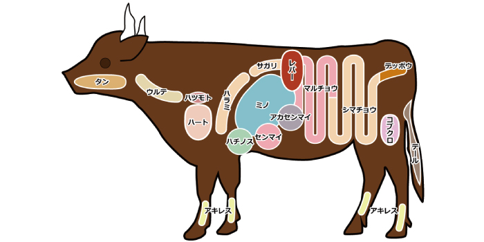 部位 サガリ 牛肉の【希少部位】って何がある？希少部位一覧とそれぞれの特徴を徹底解説